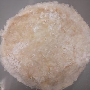 স্প্রিং রোল সিট