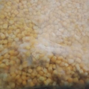 ফ্রজেন সুইট কর্ণ
